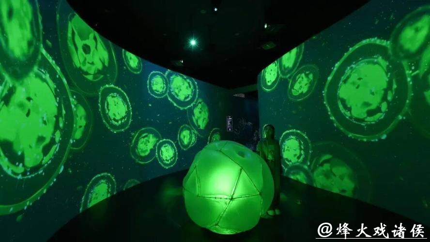 穿越46亿年 《重返海洋》科学艺术展在国家海洋博物馆启幕